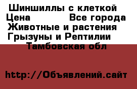 Шиншиллы с клеткой › Цена ­ 8 000 - Все города Животные и растения » Грызуны и Рептилии   . Тамбовская обл.